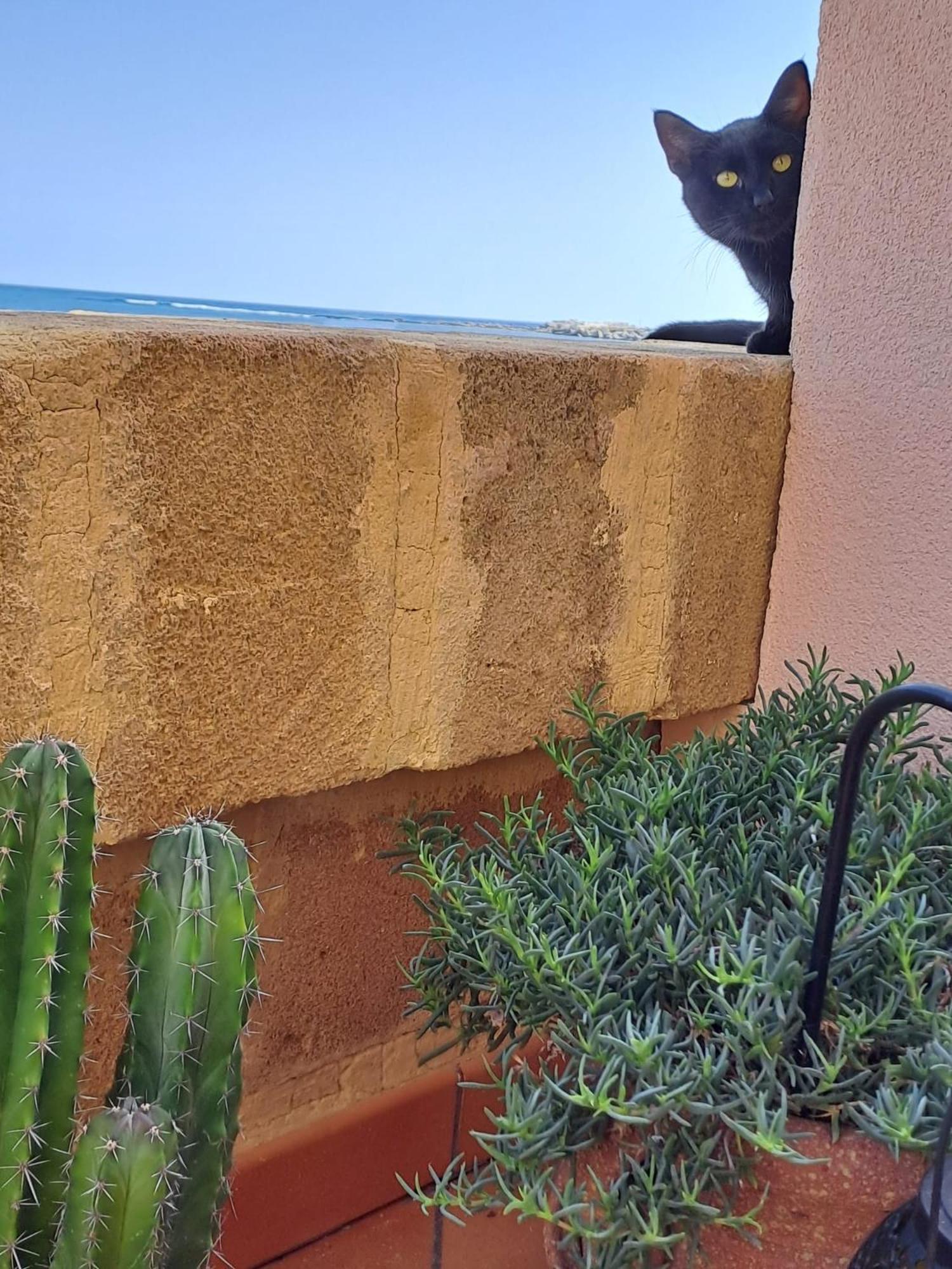 La Casa Sulla Spiaggia Marzamemi Exteriör bild